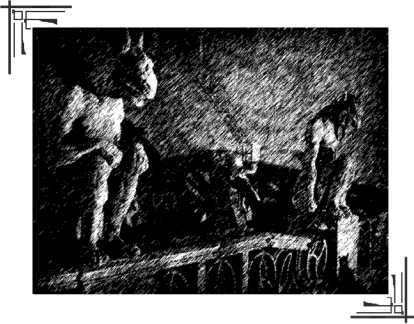 Метрополис. Индийская гробница<br />(Романы) - i_039.jpg