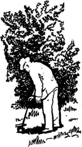 Кладоискатель ABC<br />(Сборник фантастических и приключенческих произведений) - i_004.jpg