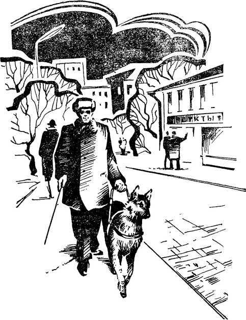 Твой друг<br />(Сборник) - i_006.jpg