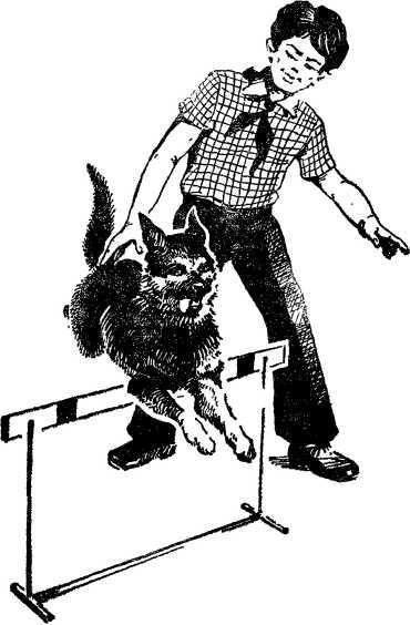 Твой друг<br />(Сборник) - i_012.jpg