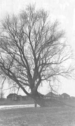 Моя война<br />(Документальная повесть) - i_010.jpg