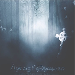 Книга Луч из будущего (СИ)