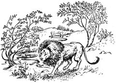 Племянник чародея (с иллюстрациями) - pic17.jpg