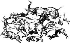 Племянник чародея (с иллюстрациями) - pic22.jpg