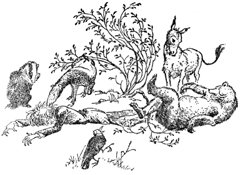 Племянник чародея (с иллюстрациями) - pic23.jpg