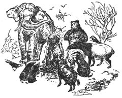 Племянник чародея (с иллюстрациями) - pic24.jpg