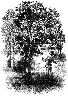 Племянник чародея (с иллюстрациями) - pic29.jpg