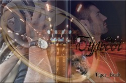 Книга Бульдог (СИ)