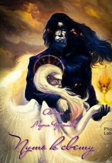 Книга Путь к свету (СИ)