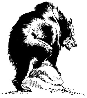 Властелин Темного Леса<br />(Историко-приключенческие повести) - i_011.png