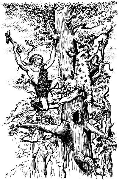 Властелин Темного Леса<br />(Историко-приключенческие повести) - i_021.png