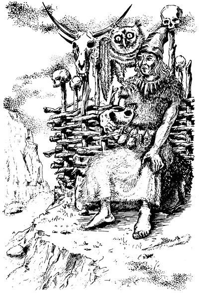 Властелин Темного Леса<br />(Историко-приключенческие повести) - i_025.png