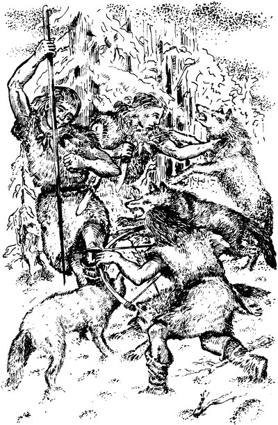 Властелин Темного Леса<br />(Историко-приключенческие повести) - i_027.png