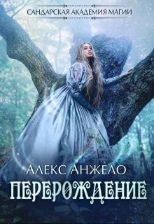 Читать онлайн книгу Сандарская академия магии. Перерождение (СИ) автор Анжело Алекс Книга Сандарская академия магии. Перерождение (СИ)
