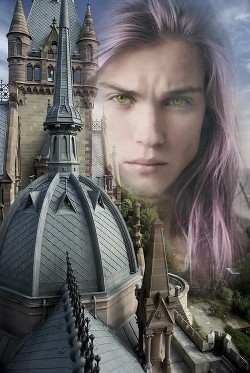 Книга Вишенка (СИ)