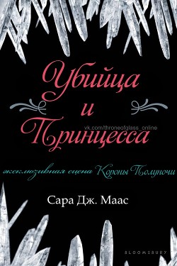 Книга Убийца и принцесса (ЛП)