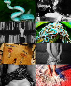 Книга Главное — хвост! (СИ)