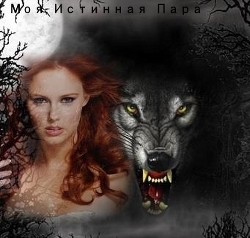 Книга Связанные 2. Моя Истинная Пара.