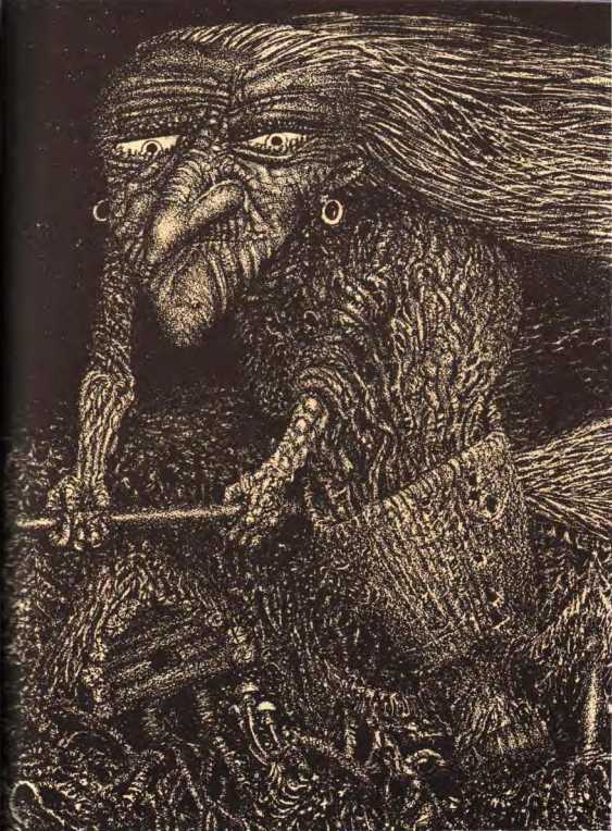 Белая лебедушка<br />(Русские волшебные сказки) - i_012.jpg