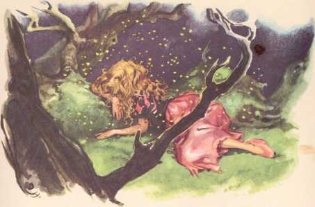 Дикие лебеди и другие сказки - i_029.jpg