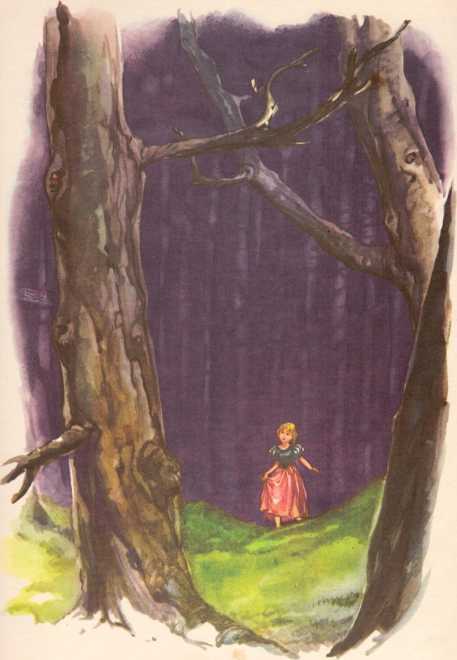 Дикие лебеди и другие сказки - i_031.jpg