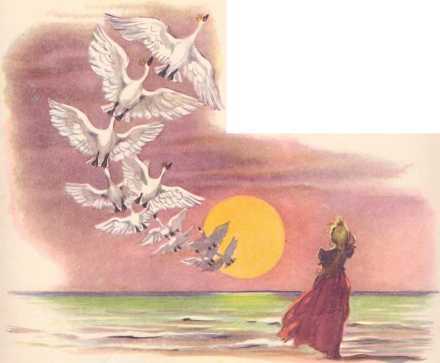 Дикие лебеди и другие сказки - i_033.jpg