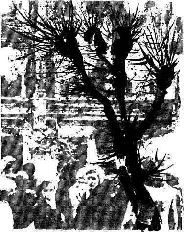 Киевские ночи<br />(Роман, повести, рассказы) - i_011.jpg