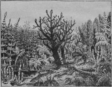 Начало и конец мира - i_019.jpg