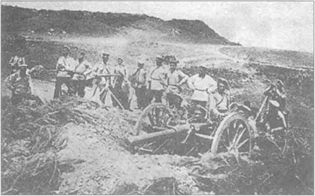 Русская артиллерия<br />(От Московской Руси до наших дней) - i_022.jpg