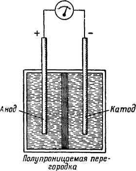 Что такое бионика - i_006.jpg