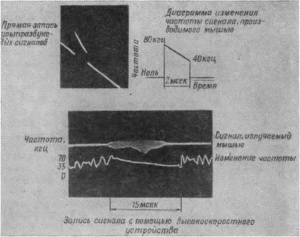 Что такое бионика - i_007.jpg