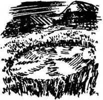 Тайны пришельцев и НЛО - i_040.jpg