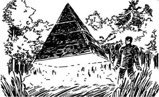 Тайны пришельцев и НЛО - i_043.jpg