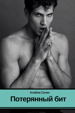 Книга Потерянный бит (СИ)