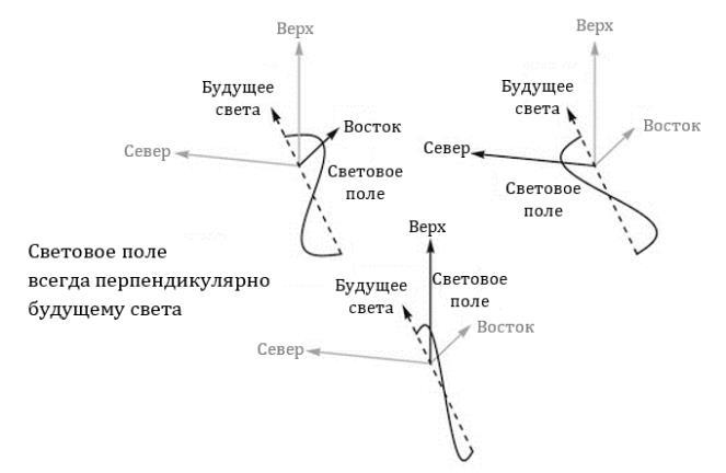 Вечное Пламя (ЛП) - _26.jpg