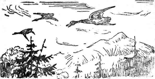 Алтайские робинзоны - i_020.jpg