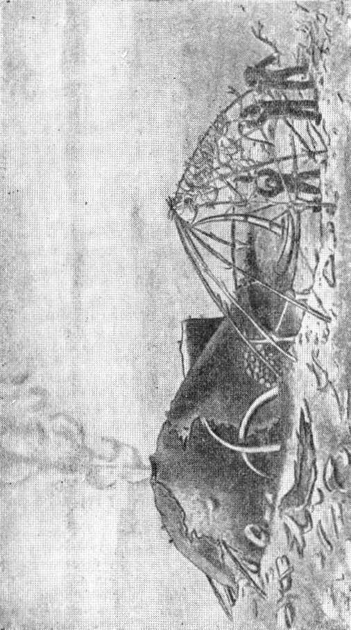 Детство человечества - i_015.jpg