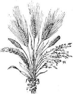 Детство человечества - i_033.jpg