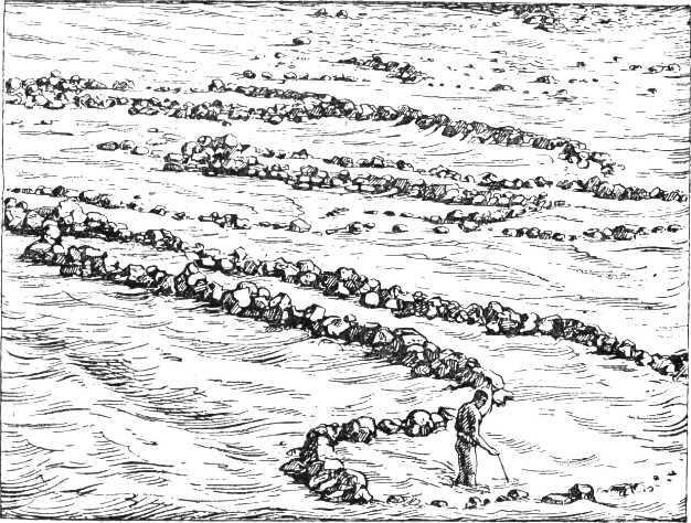 Детство человечества - i_034.jpg