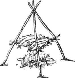 Детство человечества - i_036.jpg