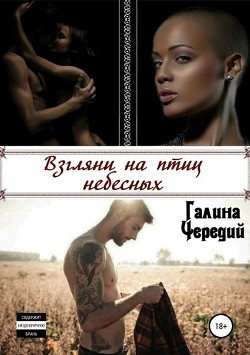 Книга Взгляни на птиц небесных (СИ)