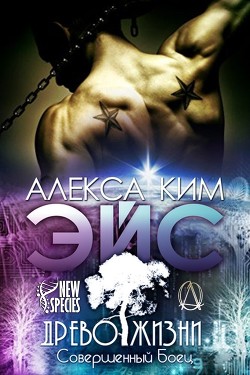 Книга Эйс (ЛП)