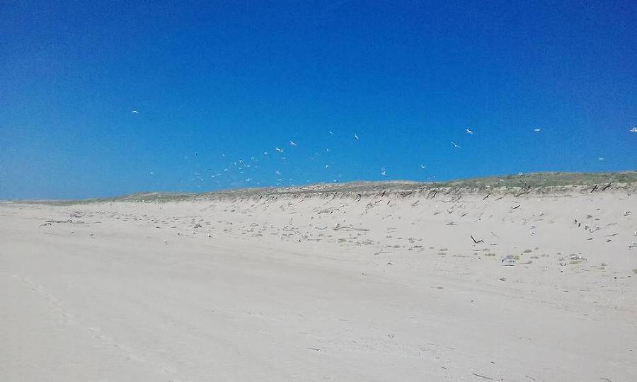 Путешествия с Ангелом: по горам и вдоль океана автостопом. Книга 2. К мысу Ра - _23.jpg