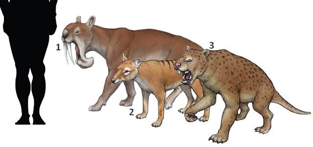 Кастор (СИ) - _46.jpg