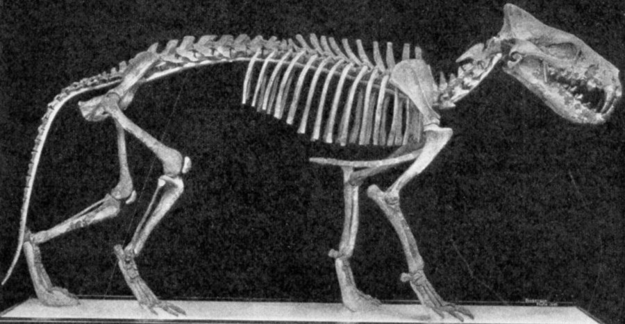 Кастор (СИ) - _44.jpg