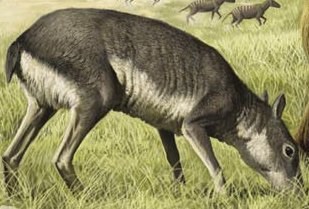 Кастор (СИ) - _58.jpg