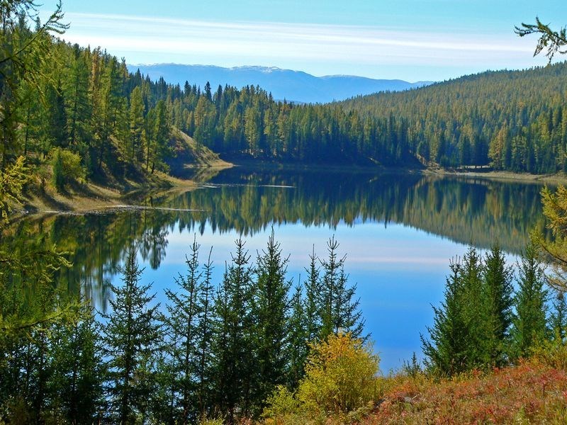 Кастор (СИ) - _60.jpg