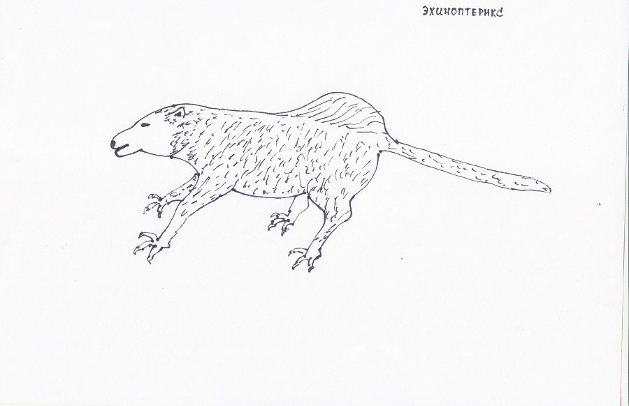 Кастор (СИ) - _10.jpg