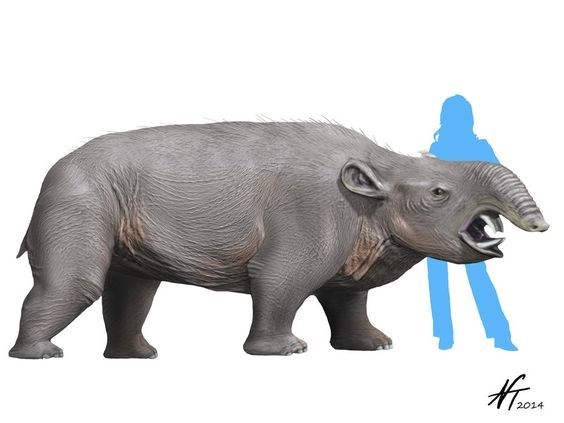 Кастор (СИ) - _19.jpg