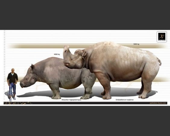 Кастор (СИ) - _42.jpg